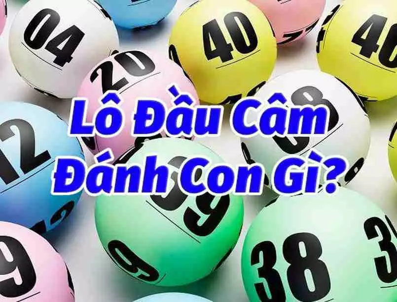 Đầu Câm đánh Con Gì? Kinh Nghiệm Từ Tay đánh số đề Lâu Năm – Nohuclub