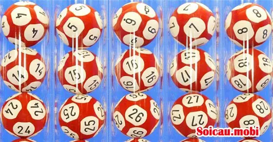 Bắt cầu lô kép dựa vào tín hiệu