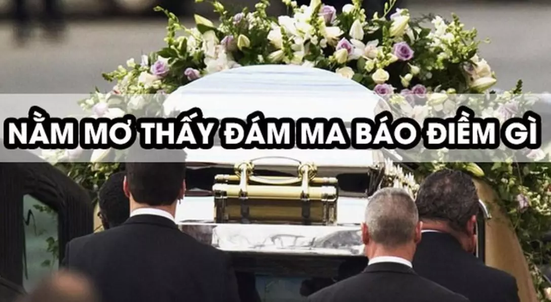 Mơ Gặp đám Ma đánh Con Gì? Giải Mã Giấc Mơ Chuẩn Nhất – Nohuclub