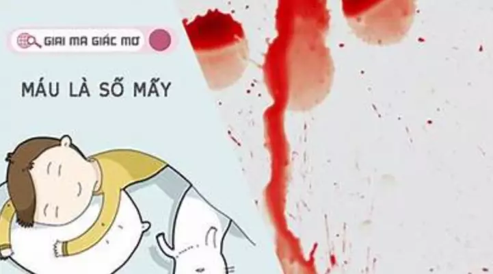 Mơ thấy máu là điềm lạnh hay điềm xấu ? Điềm báo gì ?