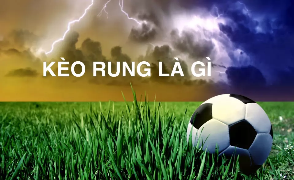 Giảng giải Kèo Rung Là Gì chi tiết nhất ? – Nohuclub