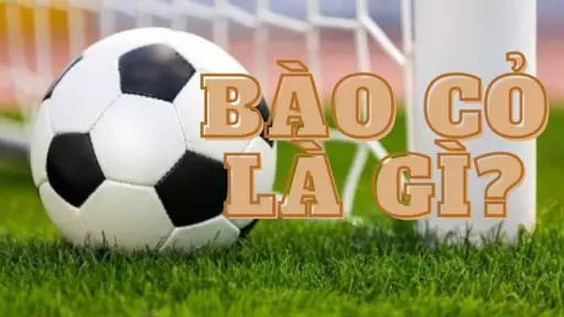 Thông tin về bào cỏ trong bóng đá