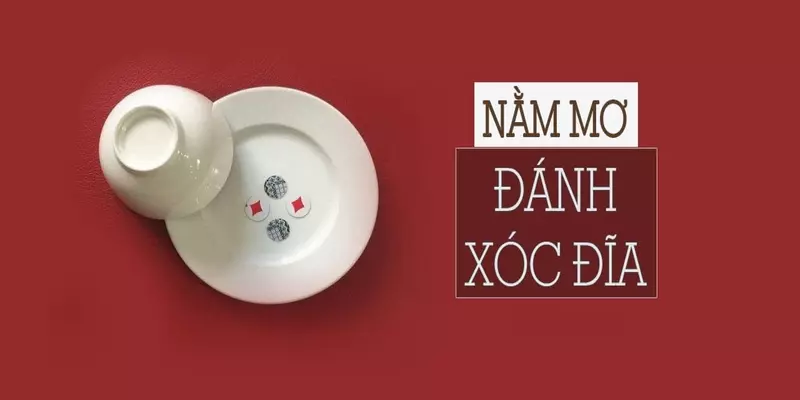 Giải Mã ngủ mơ Đánh Xóc Đĩa Đánh Con Gì Trúng 100% – Nohuclub