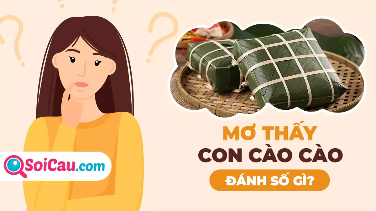 Mơ bánh chưng đánh con gì? Ý nghĩa giấc mơ thấy bánh chưng