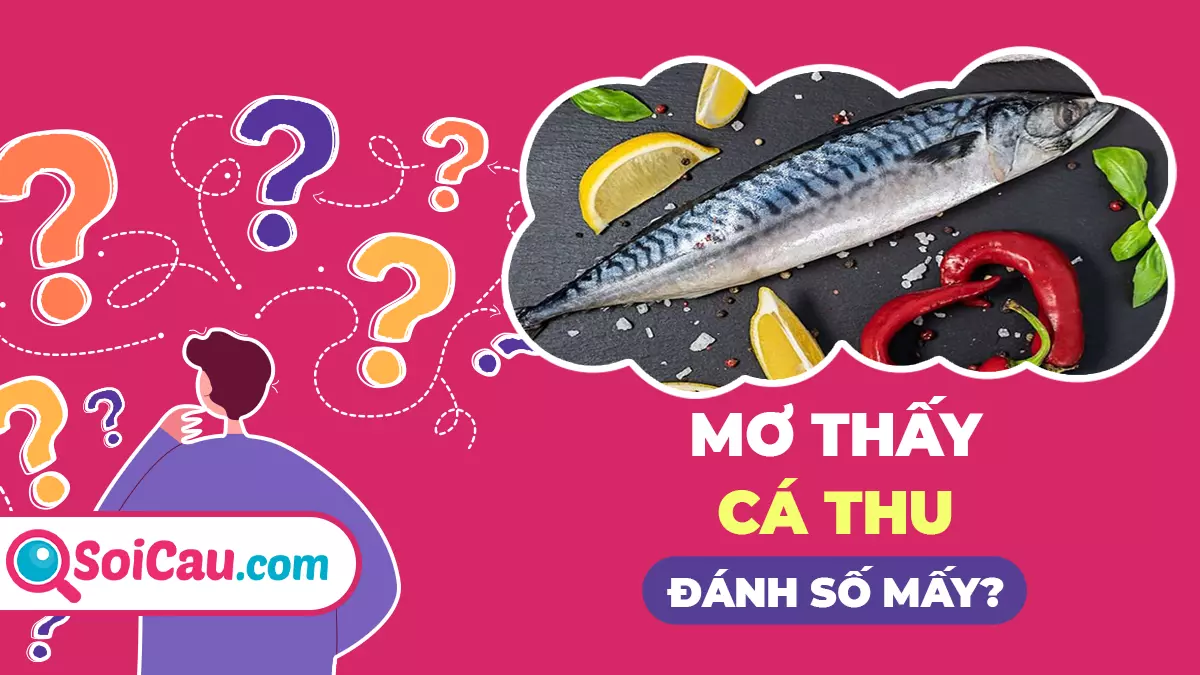 Mơ thấy cá thu đánh con gì? Giải mã giấc mơ thấy cá thu
