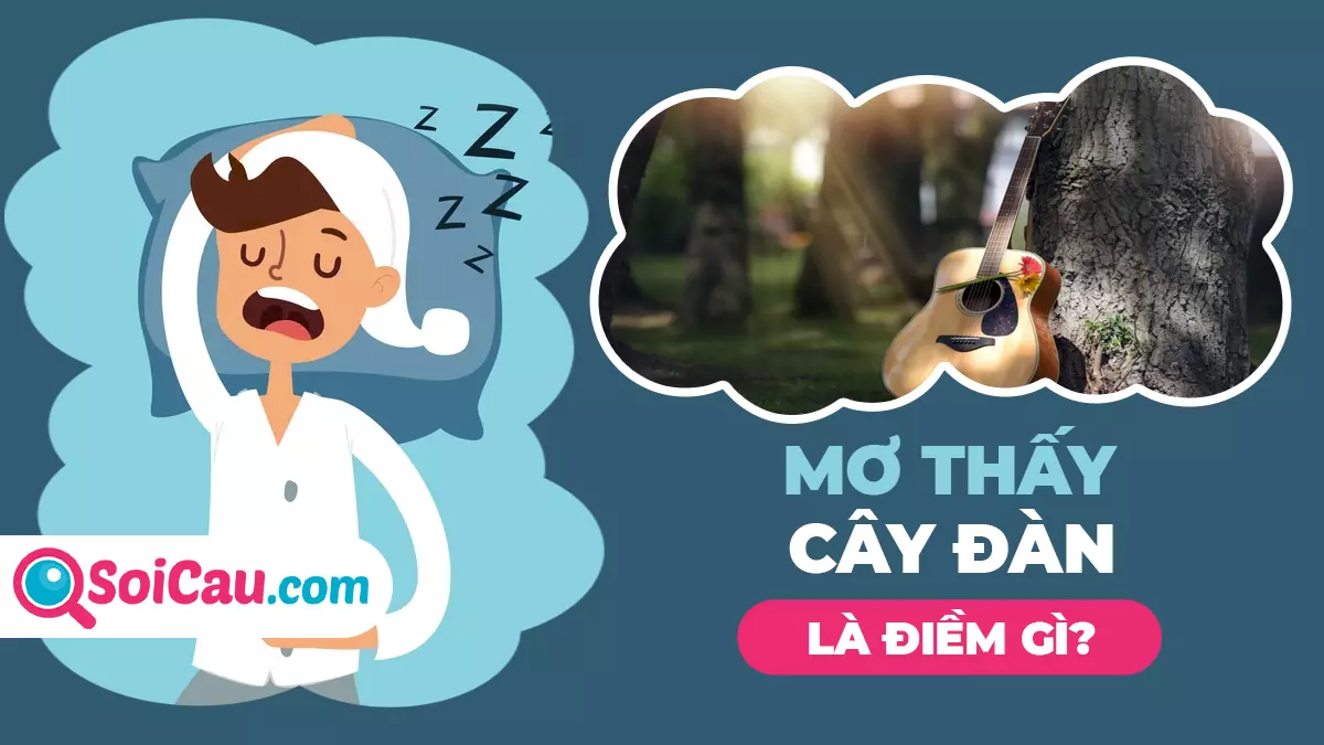Mơ thấy cây đàn đánh con gì? Mơ thấy cây đàn có điềm báo gì?