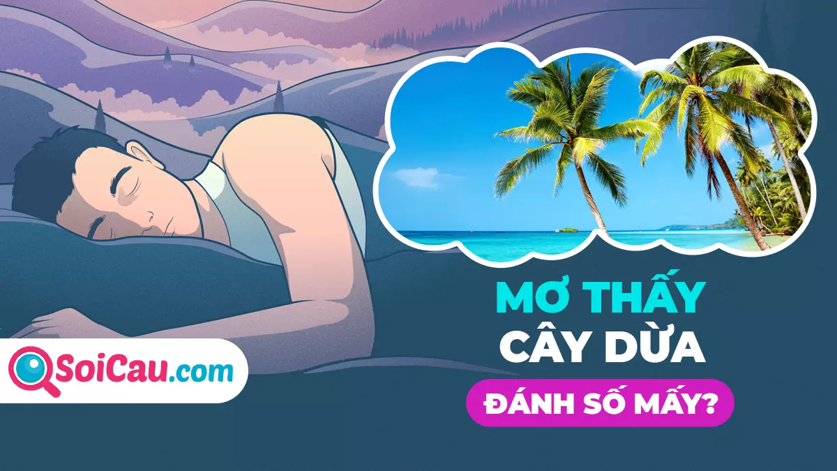 Mơ thấy cây dừa đánh số gì? Ý nghĩa giấc mơ thấy cây dừa