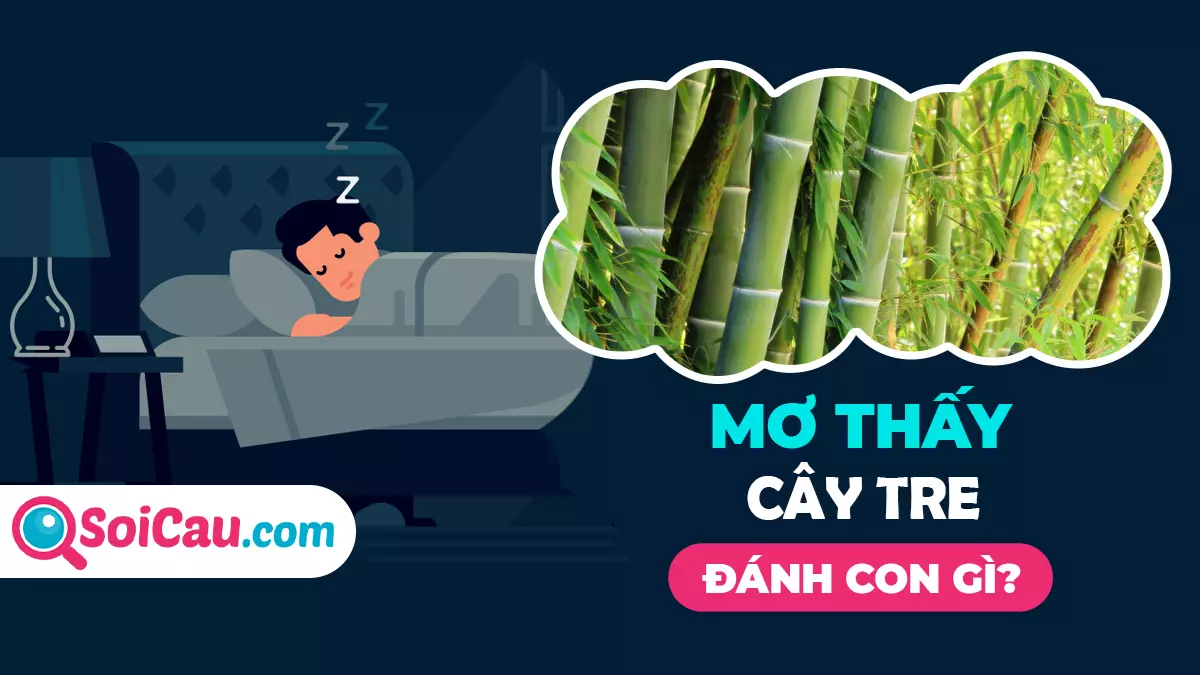 Mơ thấy cây tre đánh con gì? Giải mã giấc mơ thấy cây tre