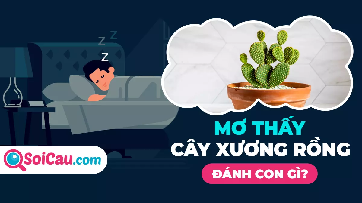Mơ thấy cây xương rồng đánh con gì? Mơ thấy cây xương rồng là điềm gì?