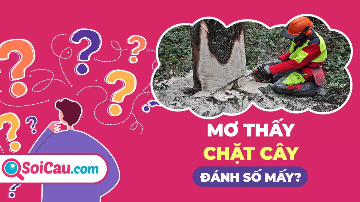Mơ thấy chặt cây đánh con gì? Giải mã giấc mơ thấy chặt cây