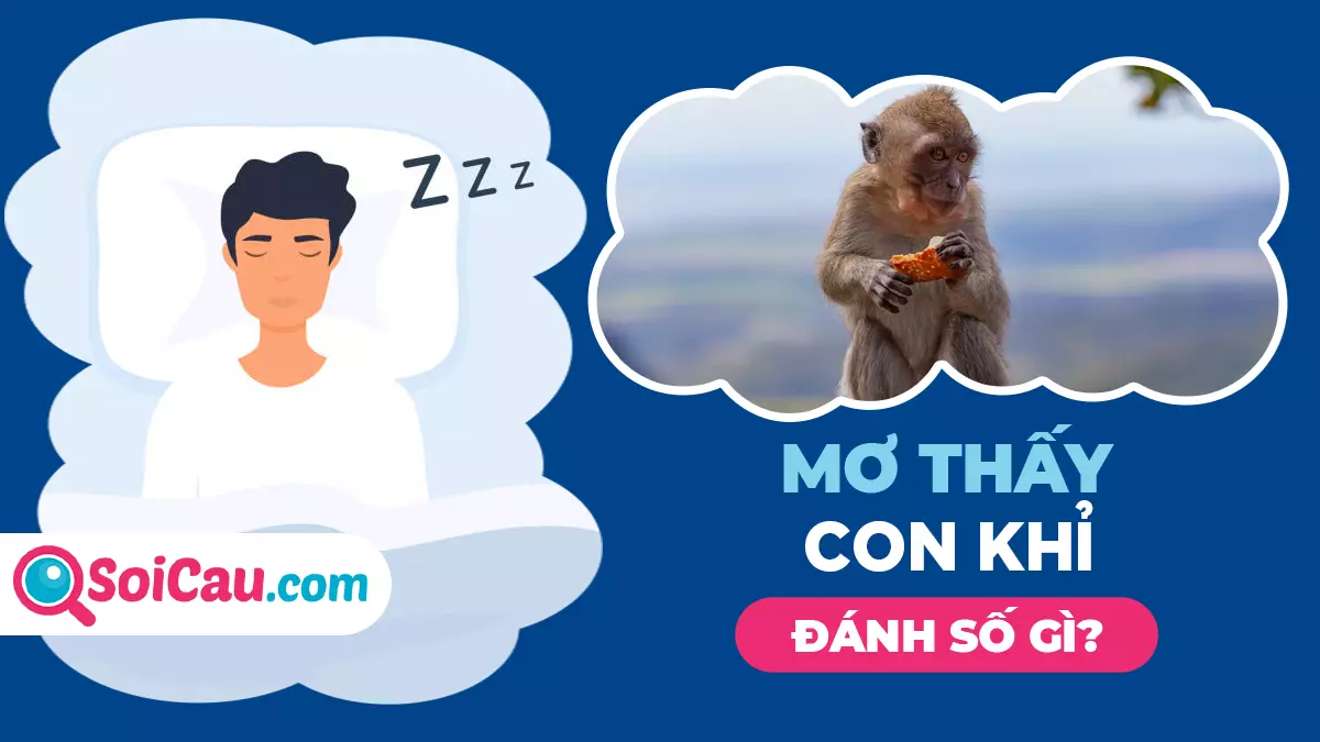 Mơ thấy con khỉ số mấy? Thông điệp giấc mơ thấy con khỉ