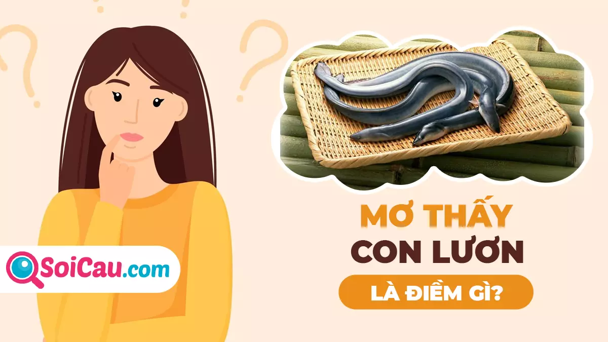 Mơ thấy lươn đánh con gì? Giải mã mơ thấy lươn là điềm gì?