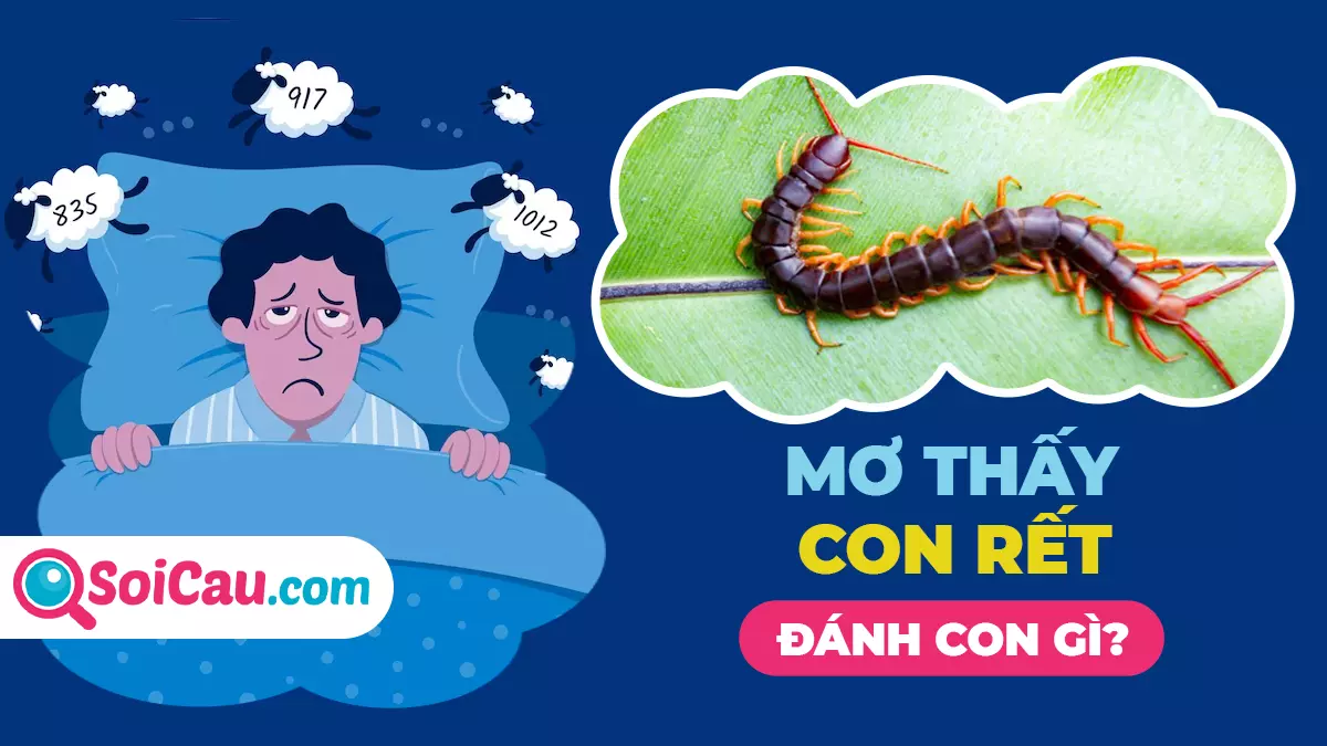 Mơ thấy con rết số mấy? Thông điệp giấc mơ thấy con rết