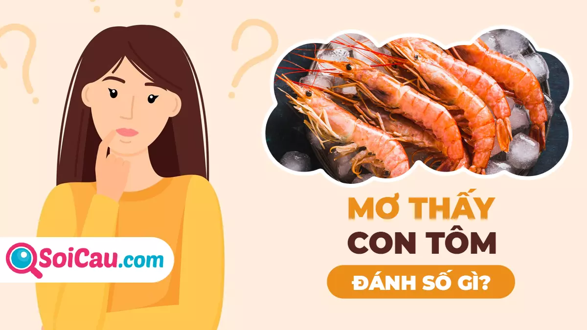 Mơ thấy con tôm số mấy? Ý nghĩa giấc mơ thấy con tôm
