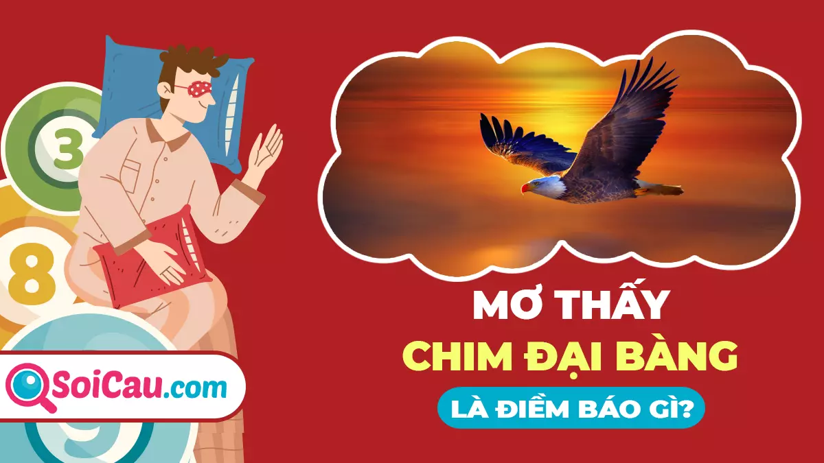 Mơ chim đại bàng số mấy? Giải mã giấc mơ thấy chim đại bàng