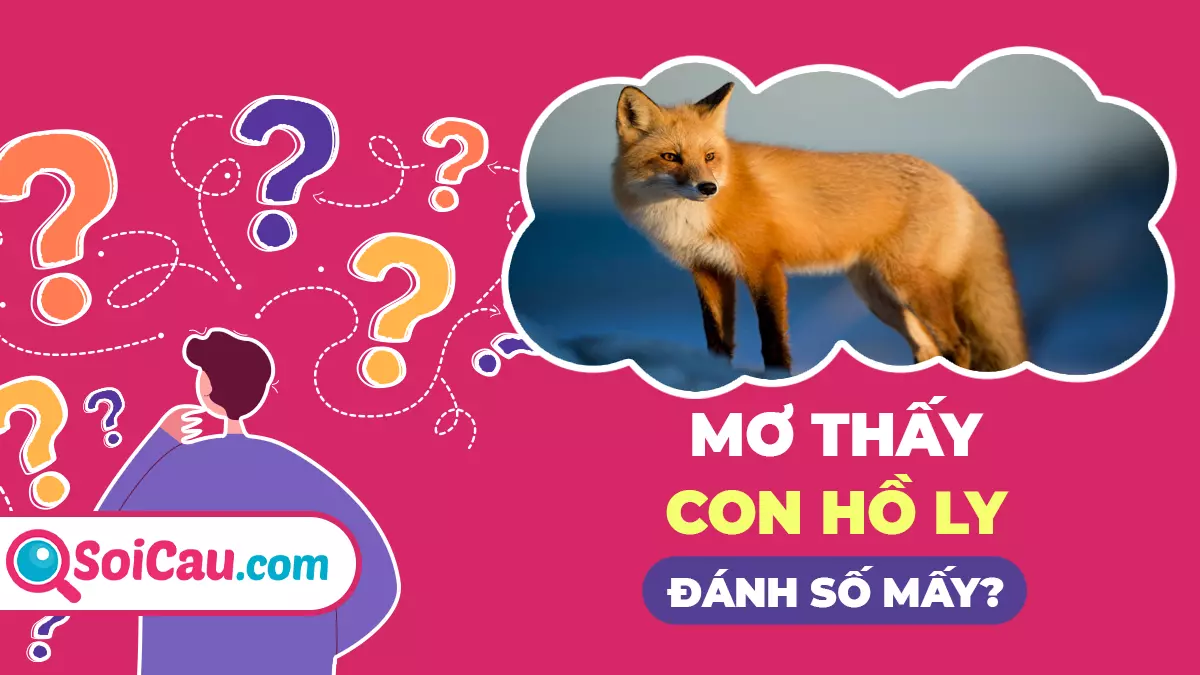 Mơ thấy hồ ly là điềm gì? Giải mã giấc mơ thấy hồ ly