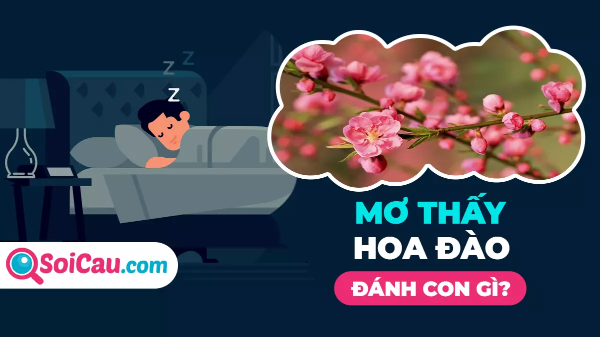 Mơ thấy hoa đào đánh con gì? Giải mã giấc mơ thấy hoa đào