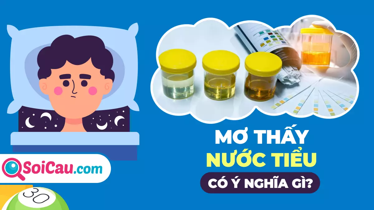 Mơ thấy nước tiểu đánh con gì? Ý nghĩa giấc mơ thấy nước tiểu