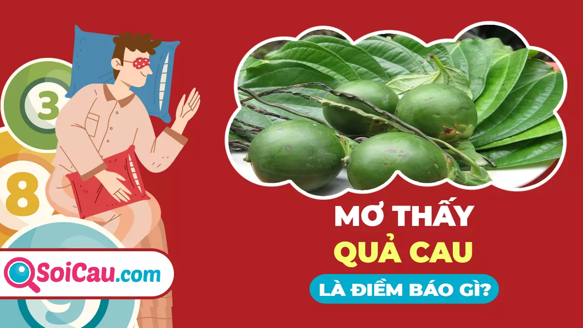 Ngủ mơ thấy quả cau đánh con gì? Ý nghĩa giấc mơ quả cau