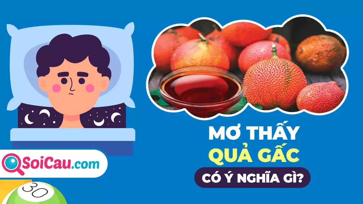 Mơ thấy quả gấc đánh số mấy? Giải mã giấc mơ thấy quả gấc