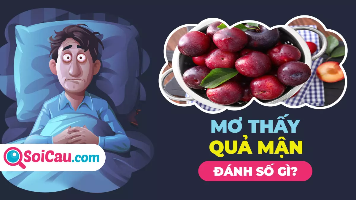 Ngủ mơ thấy quả mận đánh con gì? Ý nghĩa giấc mơ thấy quả mận