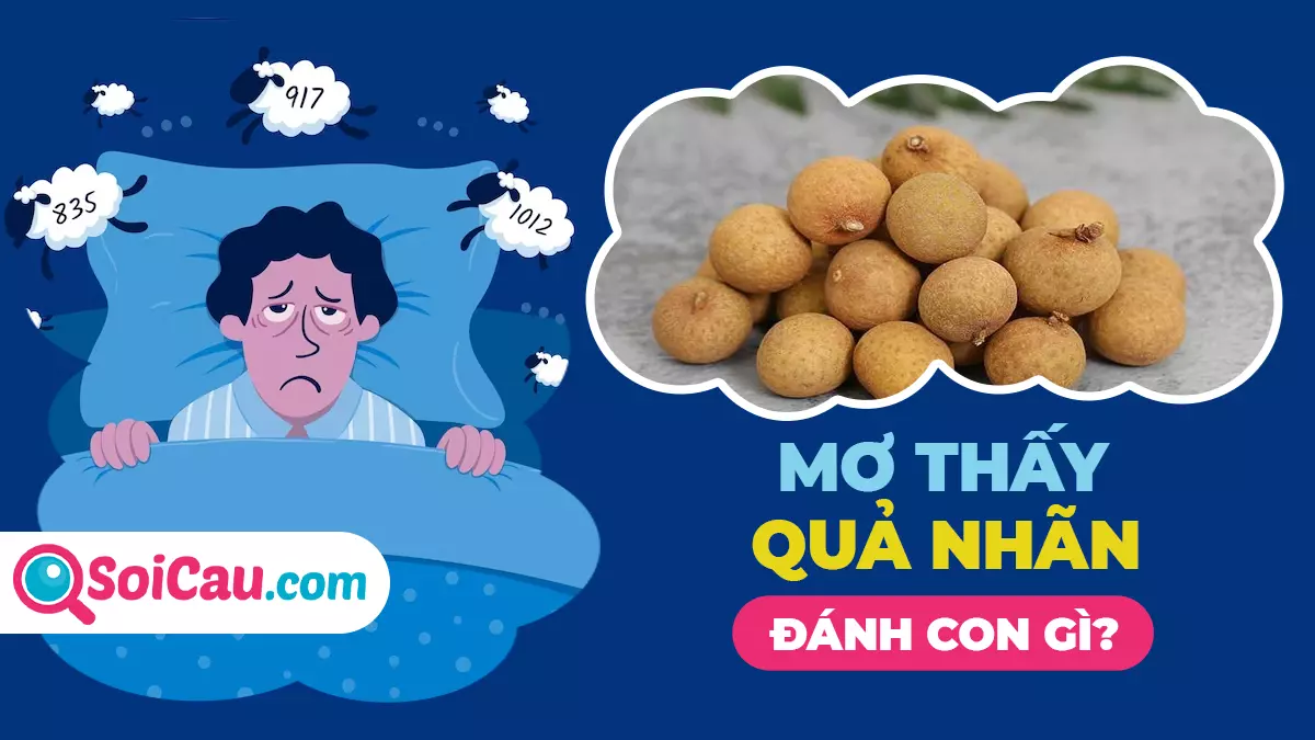 Mơ thấy quả nhãn đánh con gì? Ý nghĩa giấc mơ thấy quả nhãn
