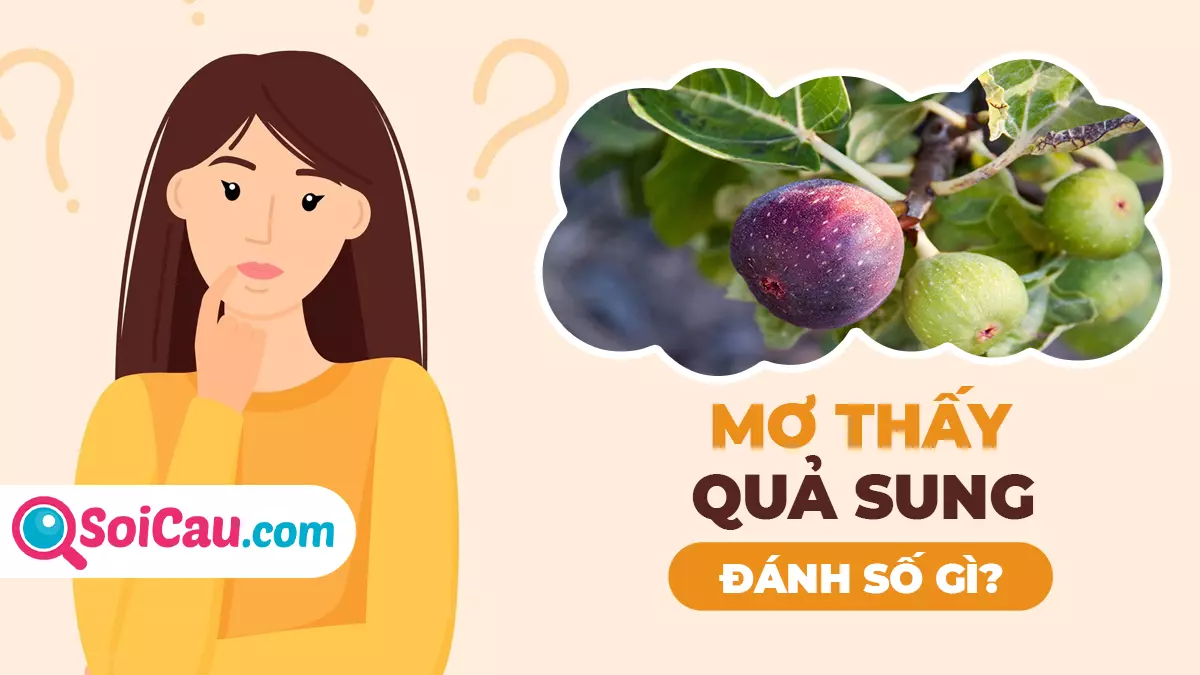 Mơ thấy quả sung là số mấy? Ý nghĩa giấc mơ thấy quả sung