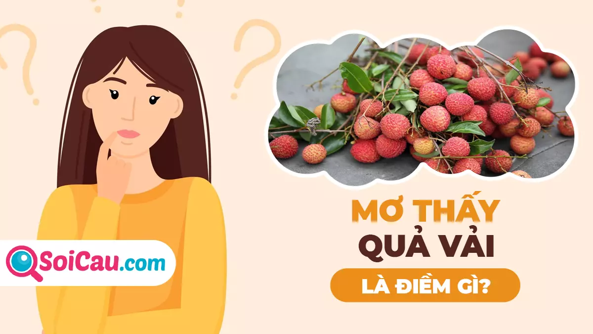 Mơ thấy quả vải là điềm gì? Giải mã giấc mơ thấy quả vải