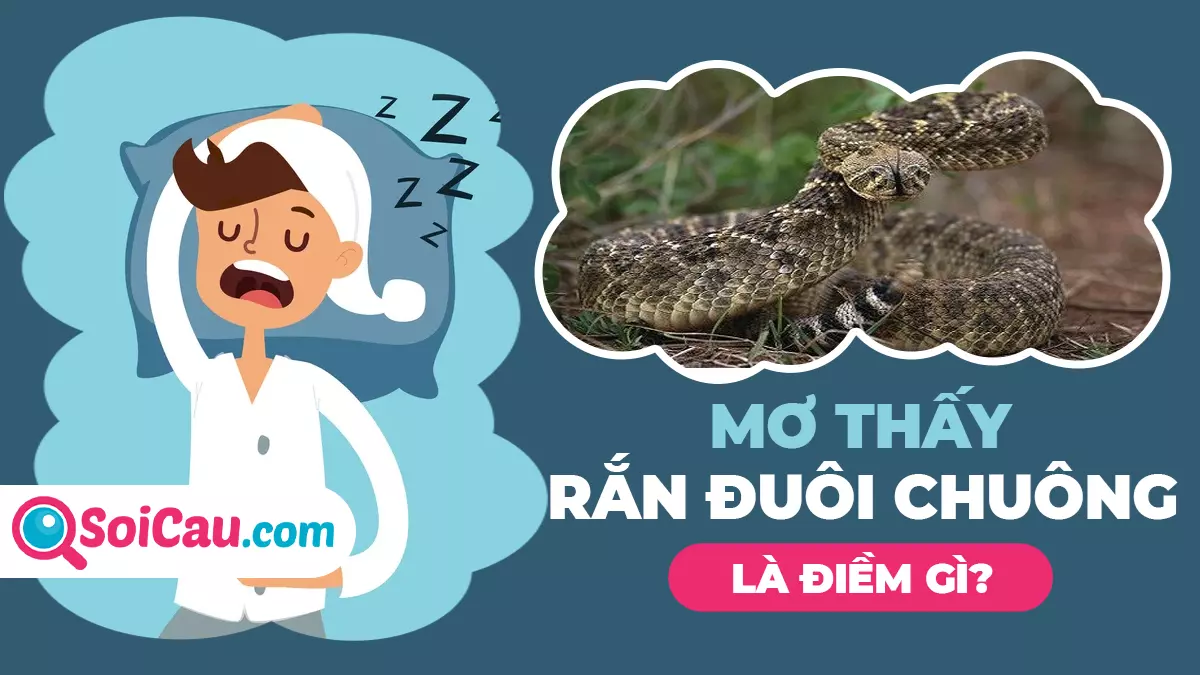 Mơ thấy rắn đuôi chuông đánh con gì? Mơ rắn đuôi chuông điềm gì?