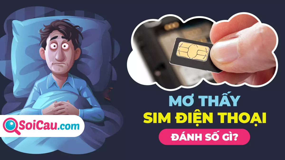 Mơ thấy sim điện thoại đánh con gì? Mơ sim điện thoại là điềm gì?