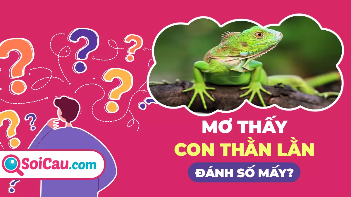 Mơ thấy con thằn lằn số mấy? Giải mã giấc mơ thấy con thằn lằn