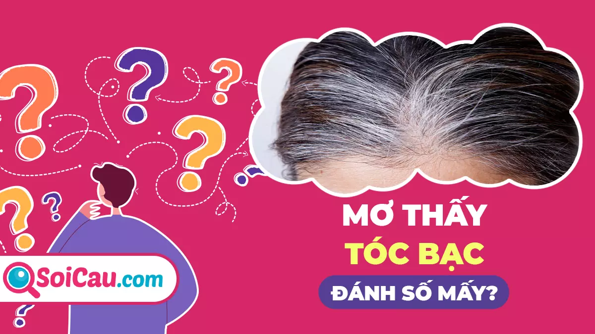 Mơ thấy tóc bạc là điềm gì? Thông điệp giấc mơ thấy tóc bạc