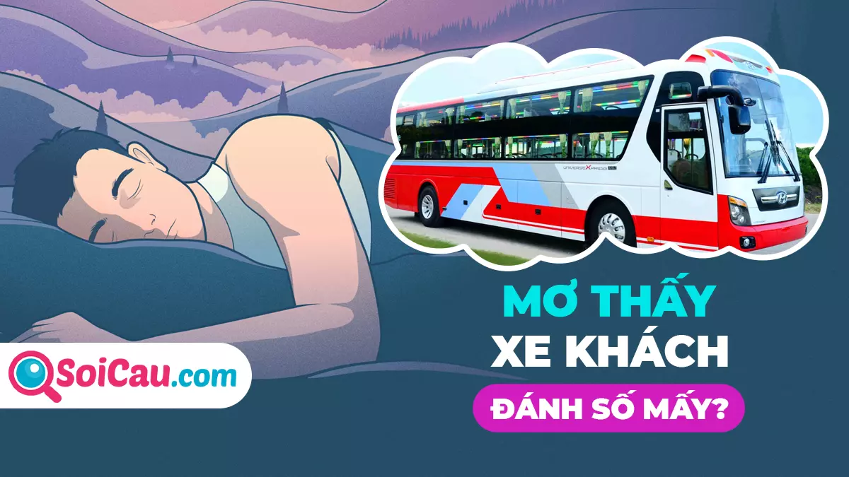 Mơ thấy xe khách đánh con gì? Ý nghĩa giấc mơ thấy xe khách