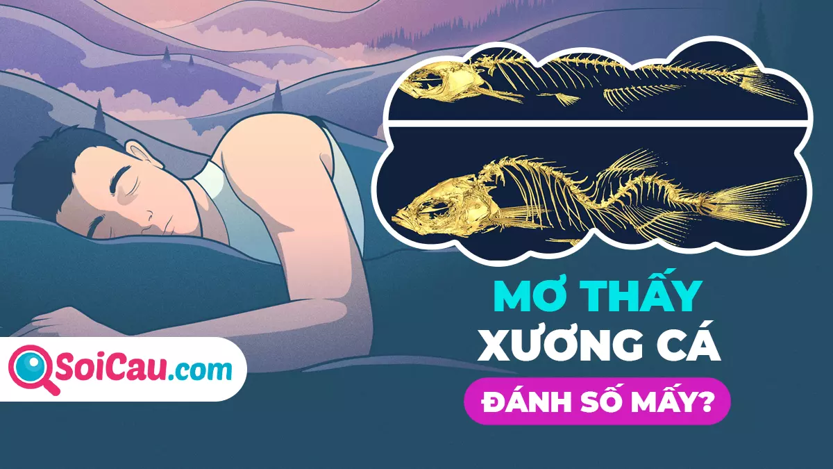 Mơ thấy xương cá là điềm gì? Giải mã giấc mơ thấy xương cá