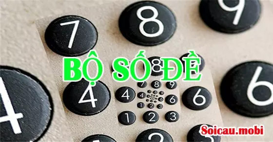 những bổ số đề cơ bản​