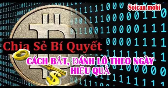 Cách bắt lô theo ngày theo cầu lô rơi