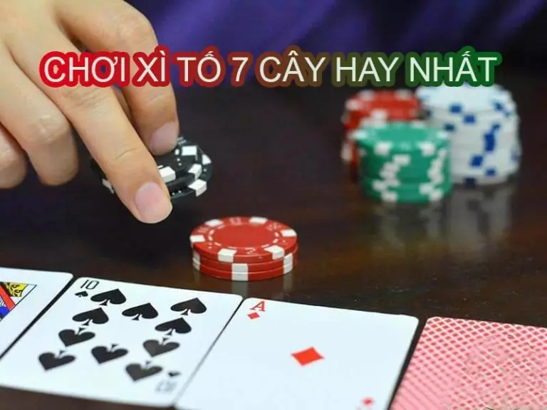 Mẹo chơi Xì Tố 7 Cây Dành Cho Anh Em Tân Thủ – Nohuclub