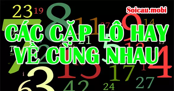những cặp lô hay về cùng nhau của cầu kèo miền bắc chuẩn xác nhất