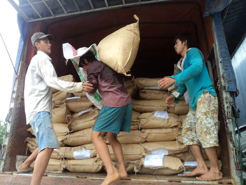 Có rất nhiều người đang chọn lựa làm nghề bốc vác, khuân vác thuê