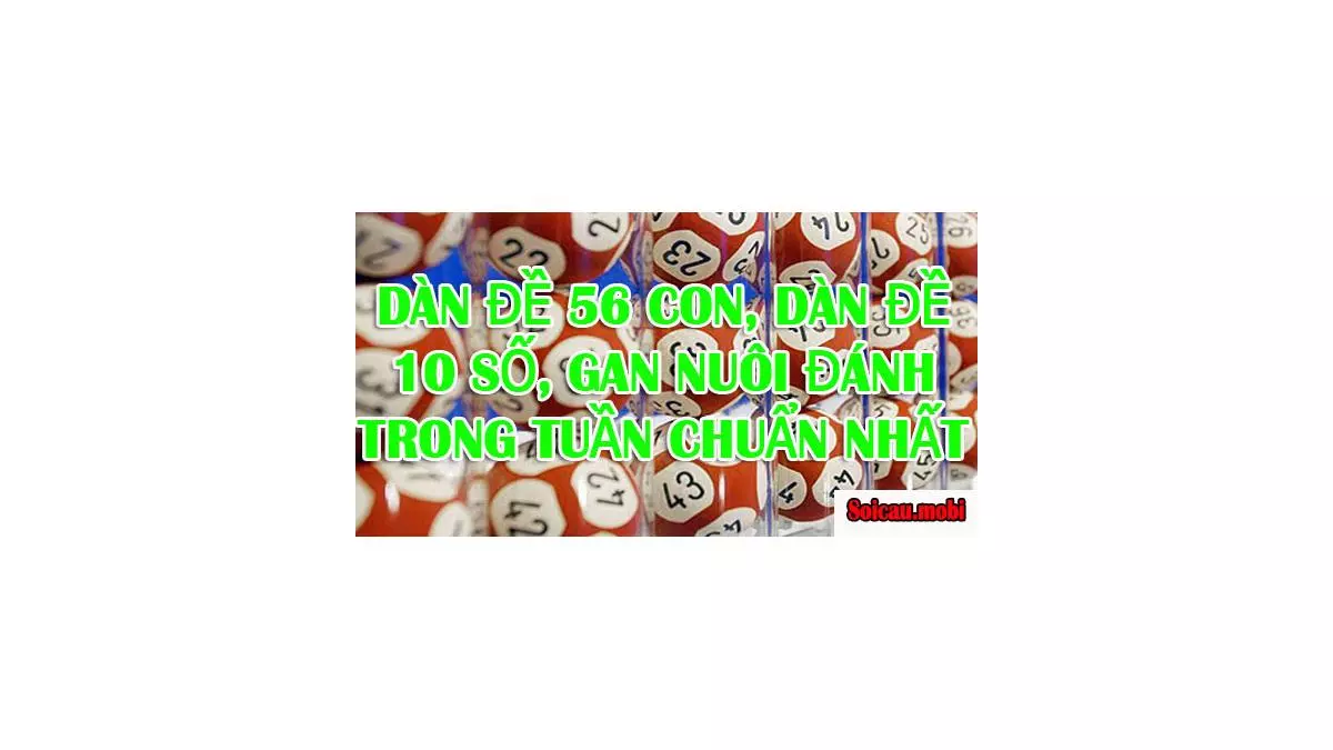 Dàn đề 56 con, dàn đề 10 số, gan nuôi đánh trong tuần chuẩn nhất