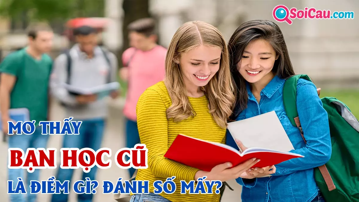 Mơ thấy bạn học cũ đánh con gì? Mơ thấy bạn học cũ điềm gì?