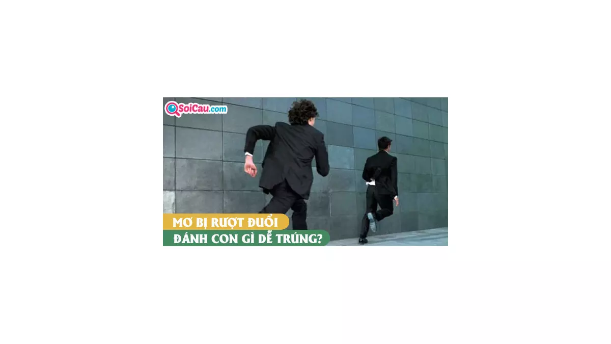 Mơ thấy bị rượt đuổi đánh con gì? Giải mã giấc mơ bị rượt đuổi