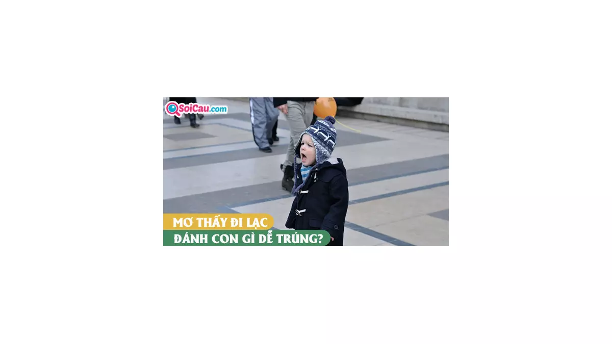 Mơ thấy đi lạc đánh con gì? Giải mã giấc mơ đi lạc đường