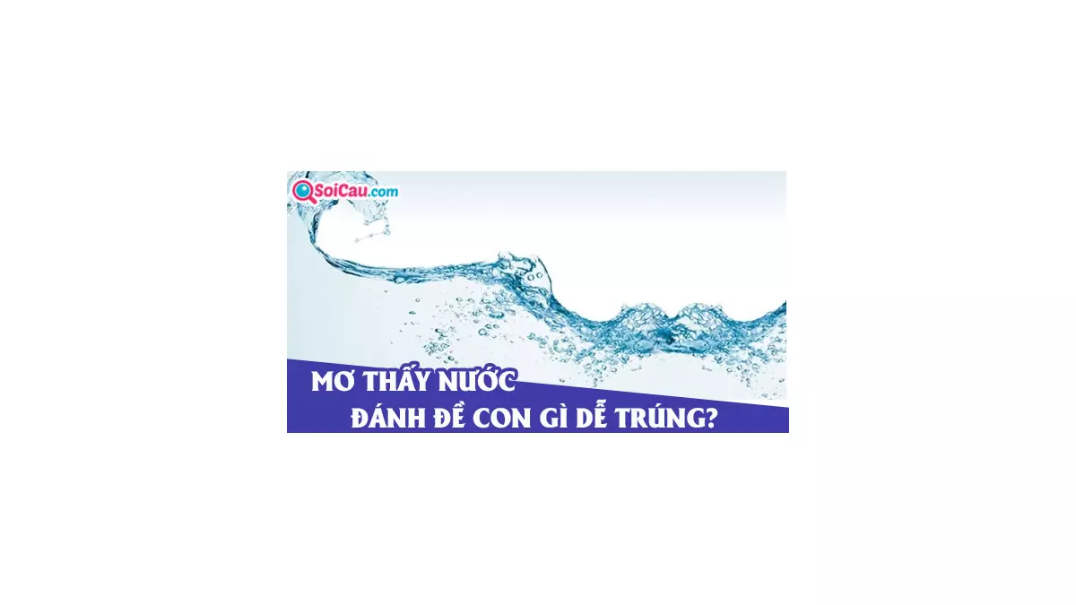 Mơ thấy nước là điềm gì? Mơ thấy nước đánh con gì?