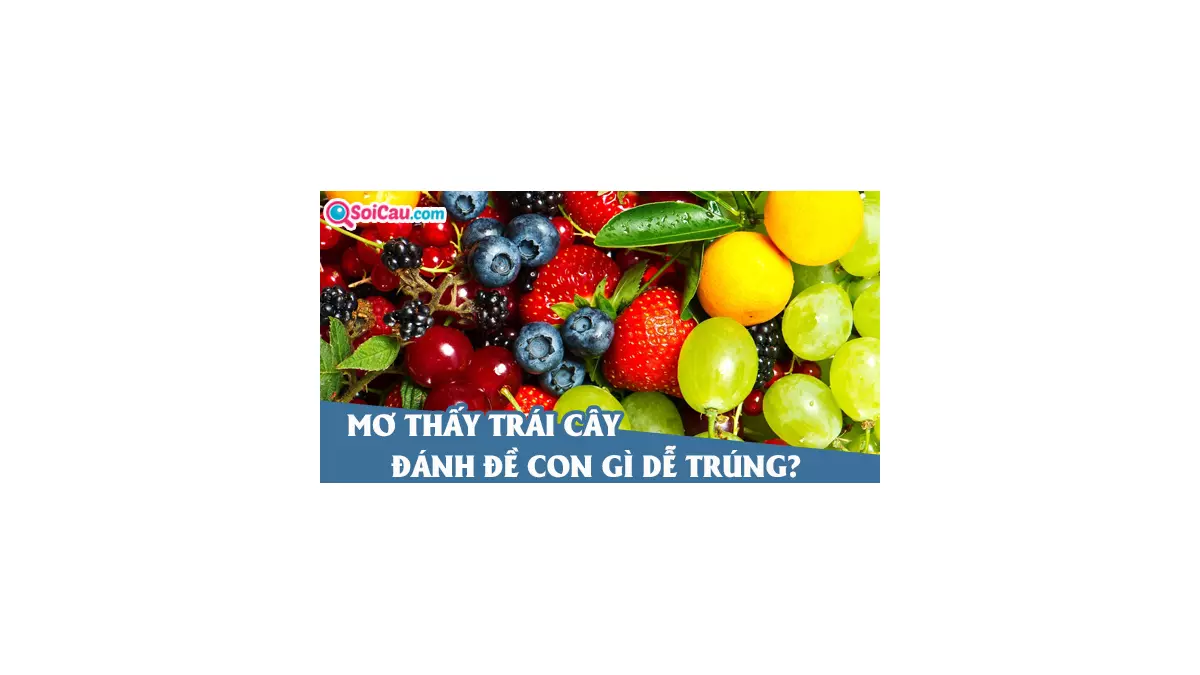 Mơ thấy trái cây đánh số gì? Mơ thấy trái cây là điềm gì?