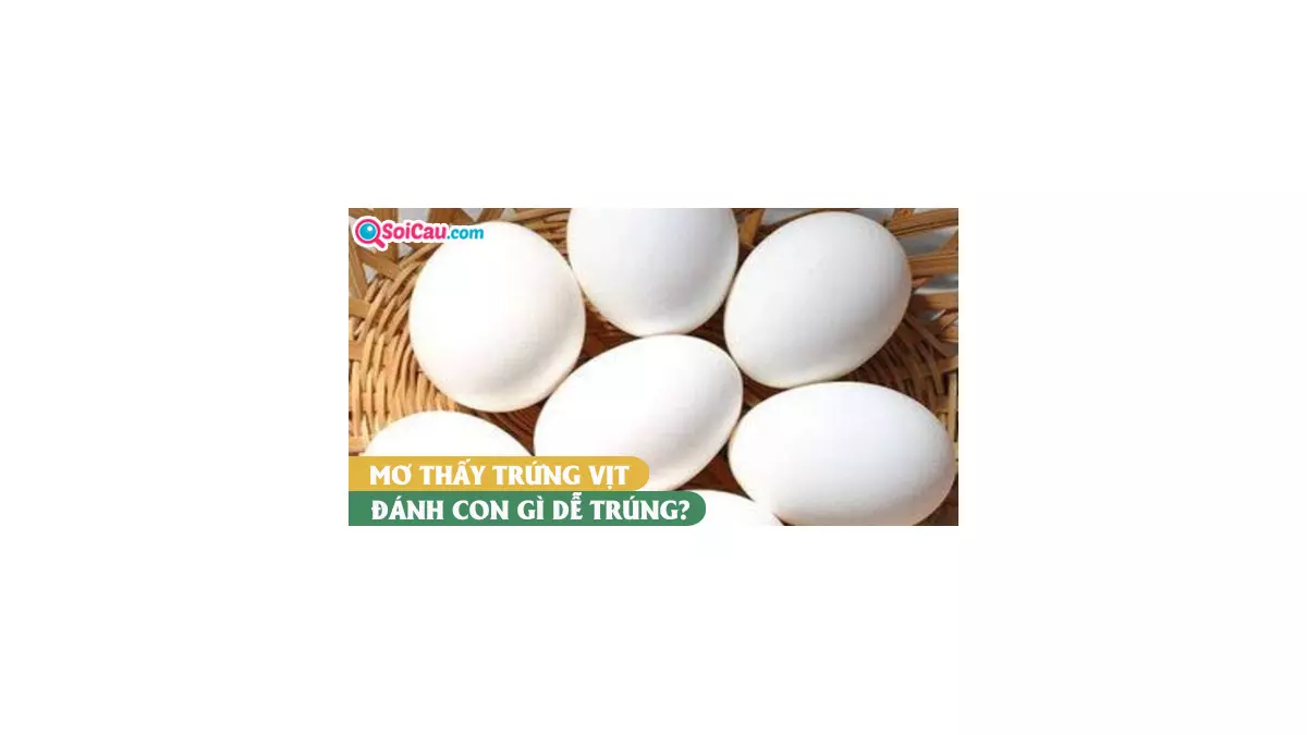Mơ thấy trứng vịt đánh con gì? Giải mã giấc mơ thấy trứng vịt