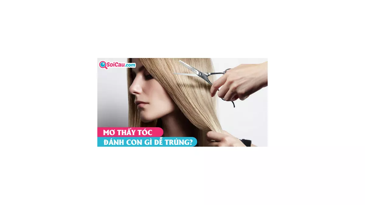 Mơ thấy cắt tóc, rụng tóc, tóc bạc, tóc dài là điềm gì? Đánh con gì?