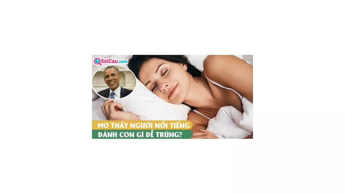 Mơ thấy người nổi tiếng đánh con gì? Là điềm gì?