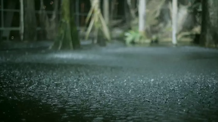 Ý nghĩa giấc nằm mộng thấy mưa đá