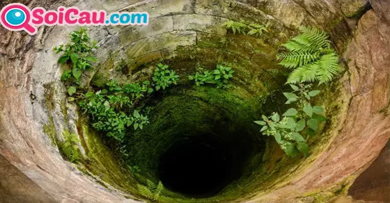 mơ thấy cái giếng đánh số gì?